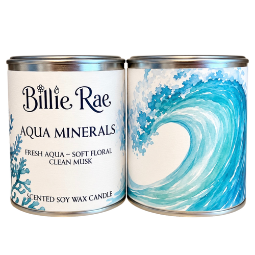 Aqua Minerals 250g Everyday Favourites Paint Pot Soy Wax Candle