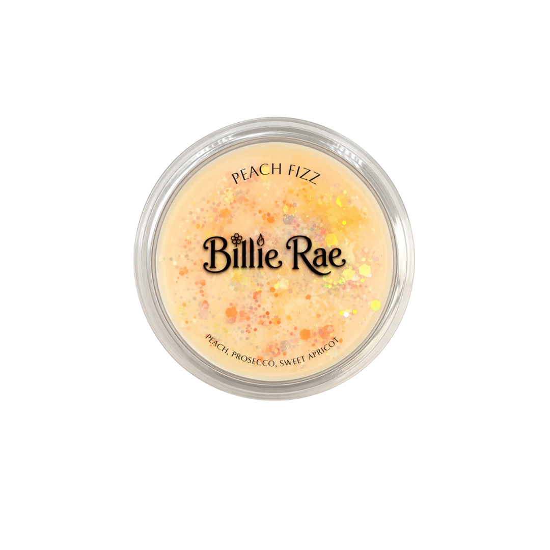 Peach Fizz 50g Everyday Favourites Wax Melt Wheel Deli Pot